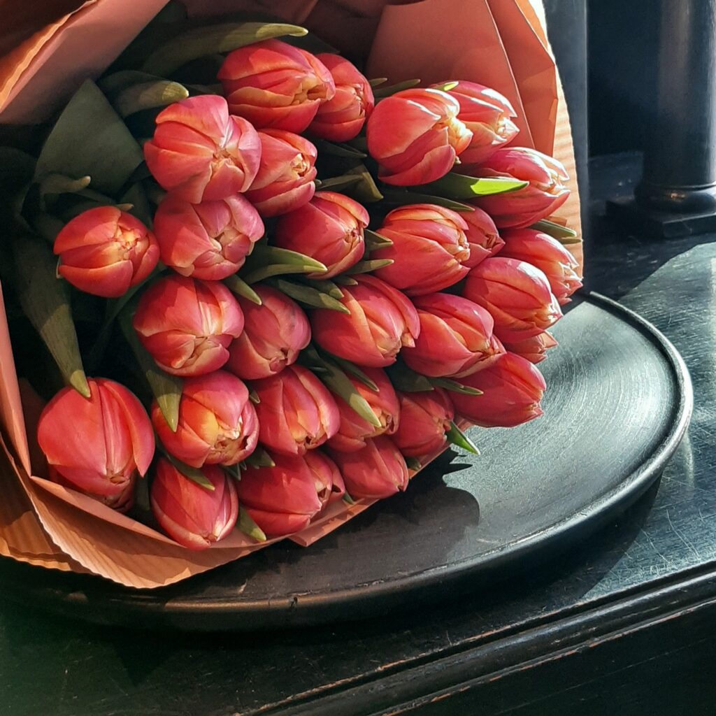 Bukiet tulipanów